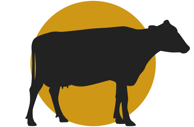 Carne de Vacuno